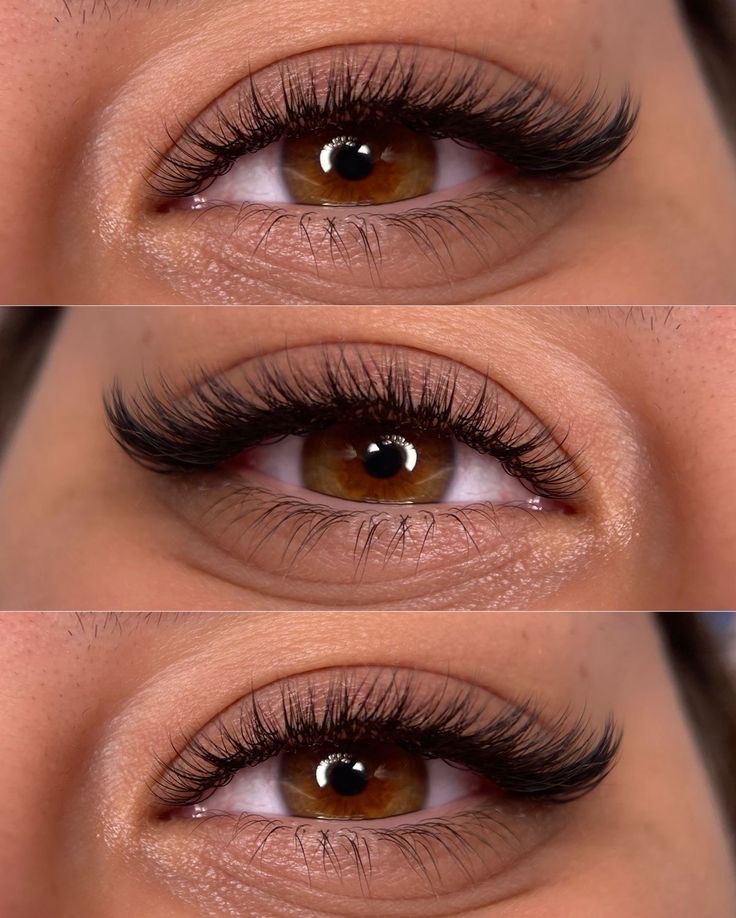 Lash extensions result 2