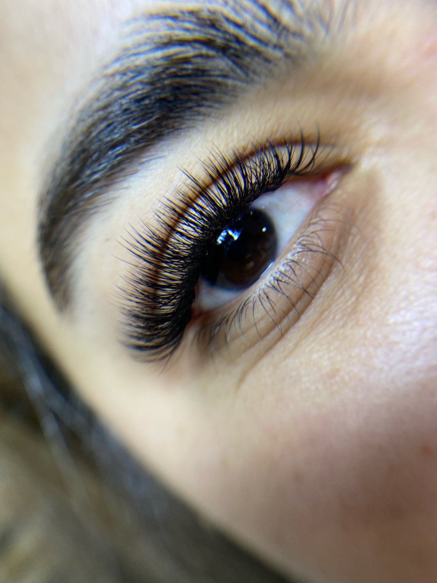 Lashes